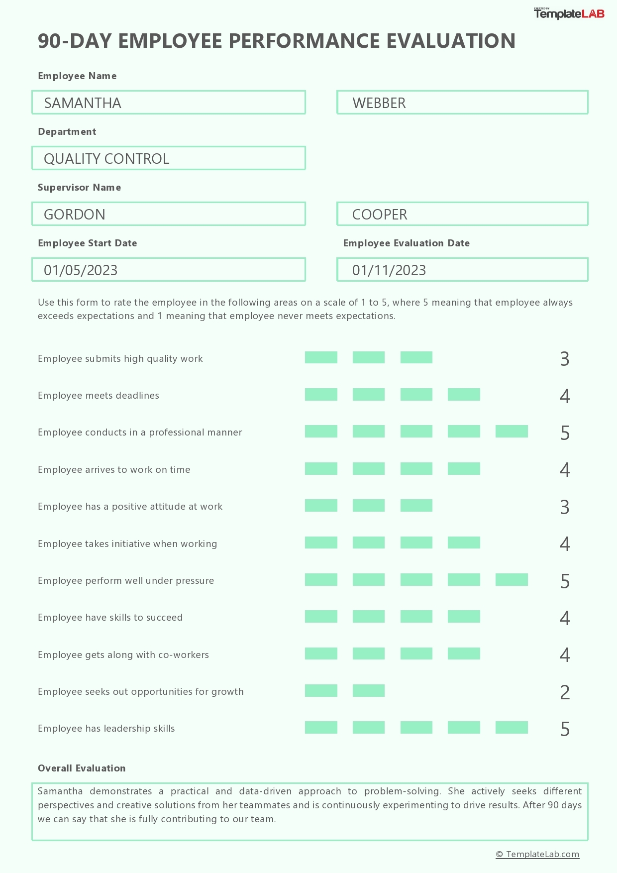 12 Perfect Employee Evaluation Templates FREE TemplateLab