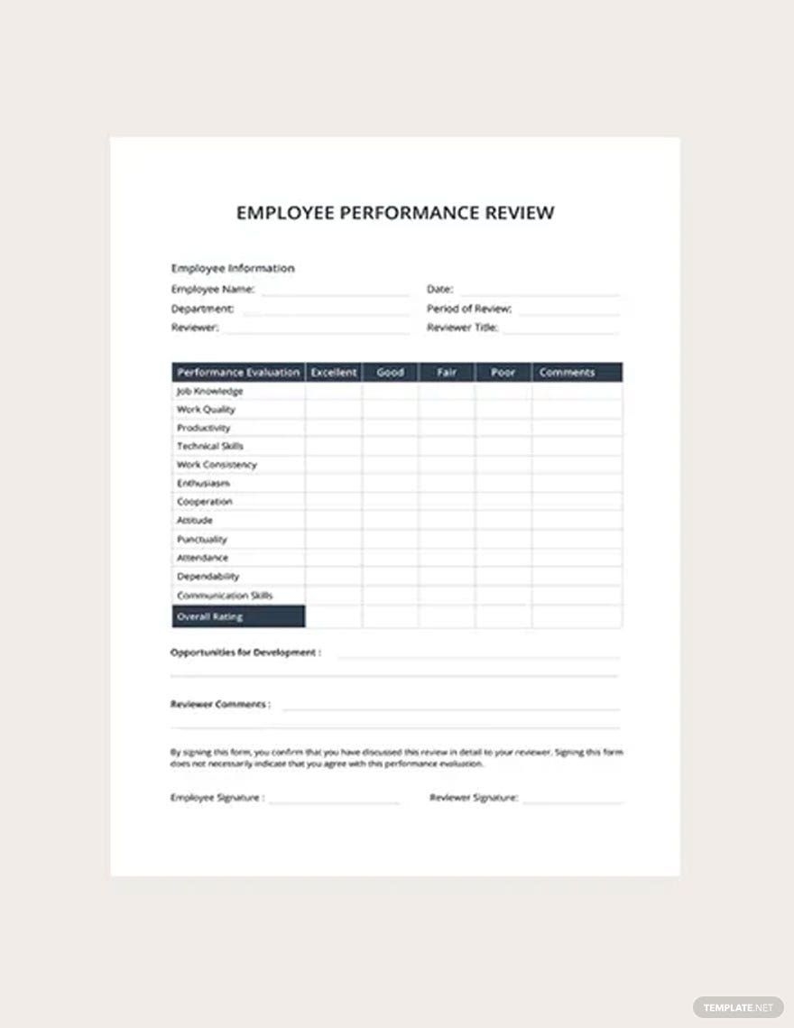 Employee Performance Review Template In Pages Word PDF Google 